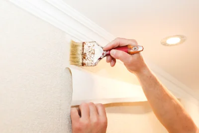 Pose de papier peint à Meusnes — revêtements muraux et toiles de verre